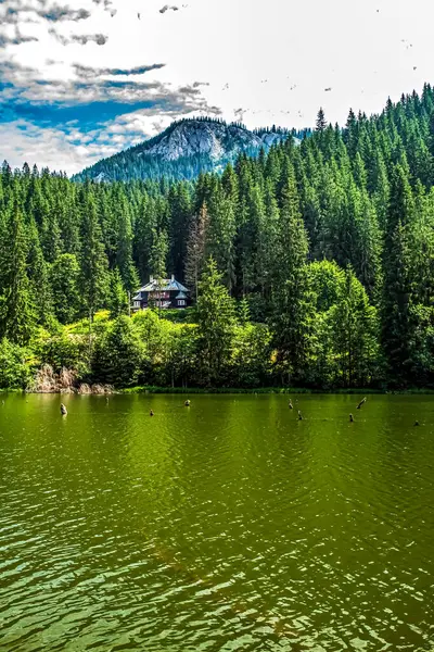 Dağlarda gölü olan güzel bir manzara.