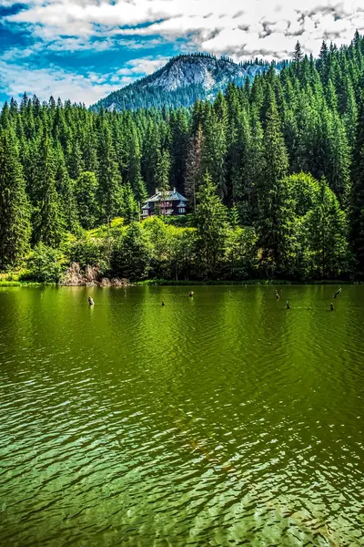 Güzel göl manzarası