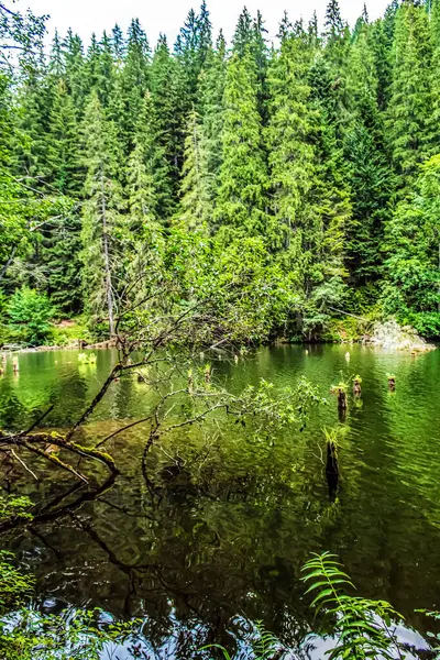 Parktaki güzel göl