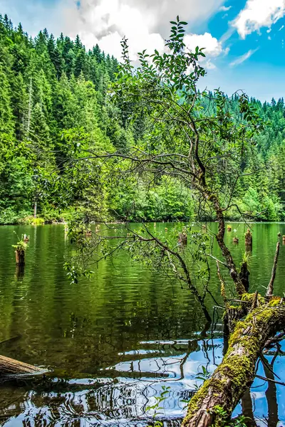 Dağlardaki güzel göl