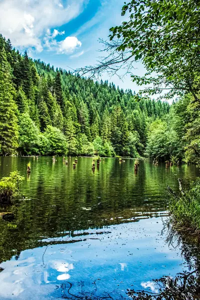 Dağlardaki gölün güzel manzarası