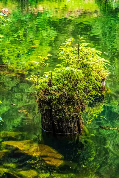 Doğanın güzel manzarası