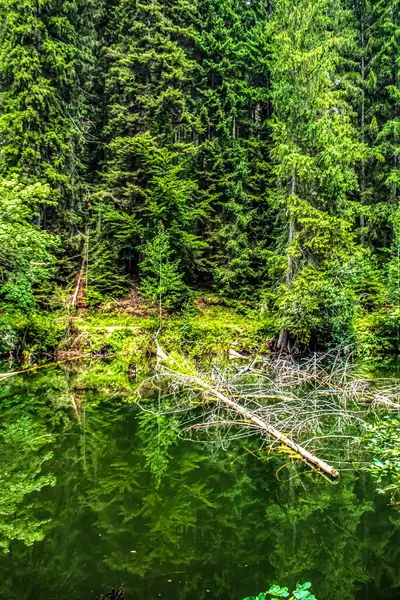 Güzel göl manzarası