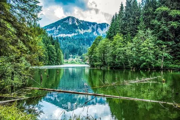 Dağlardaki göl manzarası