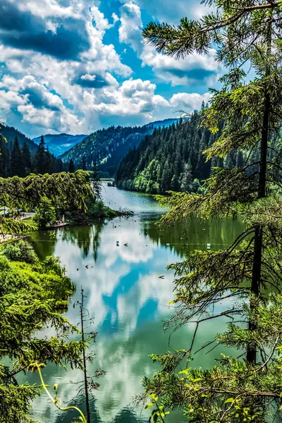 Ormanın ortasındaki göl.