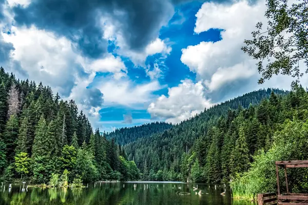 Ormanda göl, dağlarda göl, yaz manzarası.