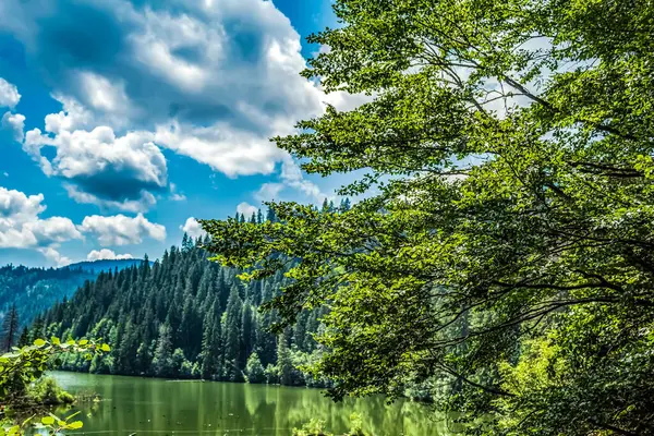 Dağlarda gölü olan güzel bir manzara.