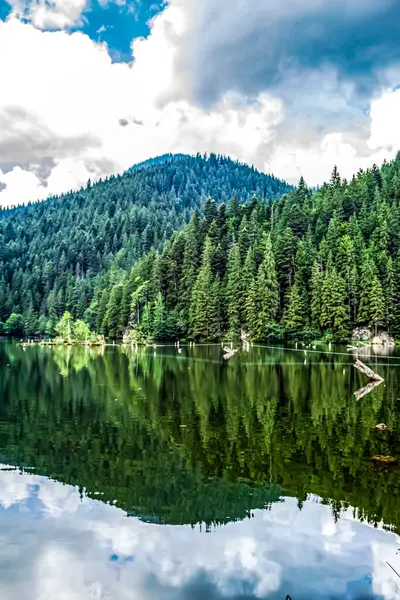 Ormandan manzaralı güzel bir göl