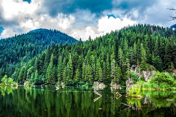 Alplerdeki göl ve dağ ormanları, Avusturalya
