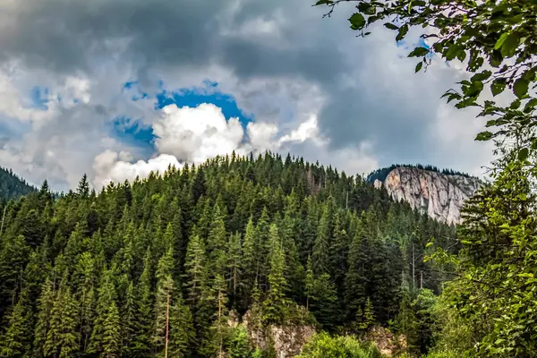 Bulutları ve mavi gökyüzü olan güzel bir manzara.