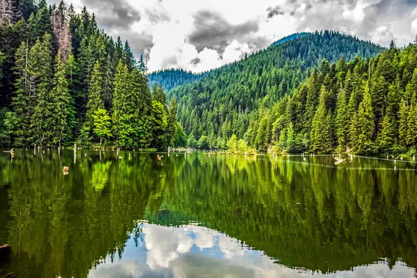 Dağlardaki gölün güzel manzarası