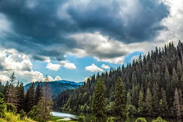 Bulutlu gökyüzünün altında yeşil tepelerin ve ormanın güzel bir görüntüsü.