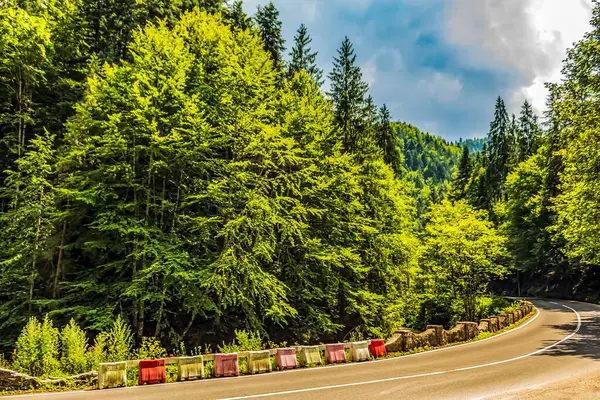 güzel manzara orman ve dağlar