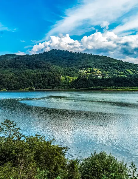 Güzel göl manzarası
