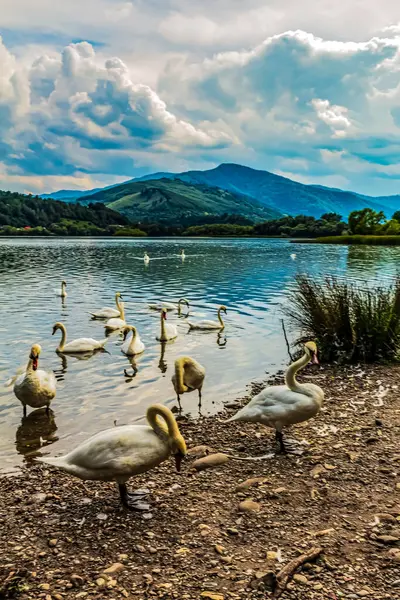 Manzaralar, Doğa, Avrupa, Doğu Avrupa, Romanya