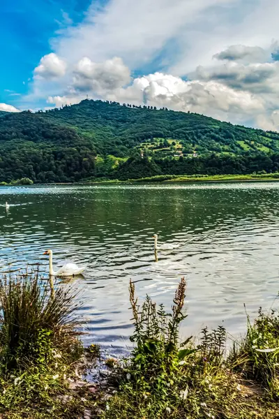 Arka planda bir nehir olan güzel bir manzara.