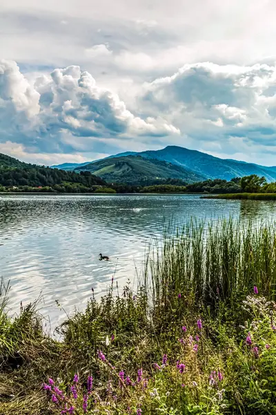 Göllü güzel bir manzara.