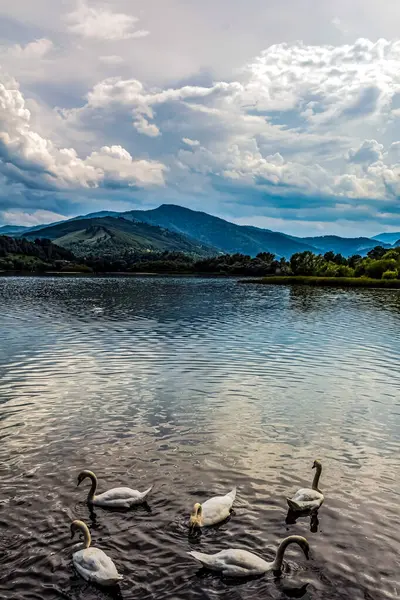 Gölün güzel manzarası