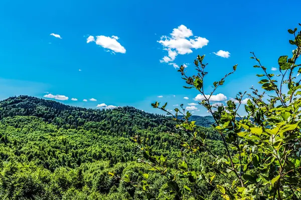 Dağların güzel manzarası
