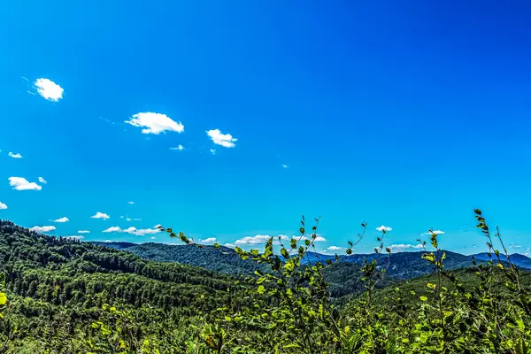 Dağları ve mavi gökyüzü olan güzel bir manzara.