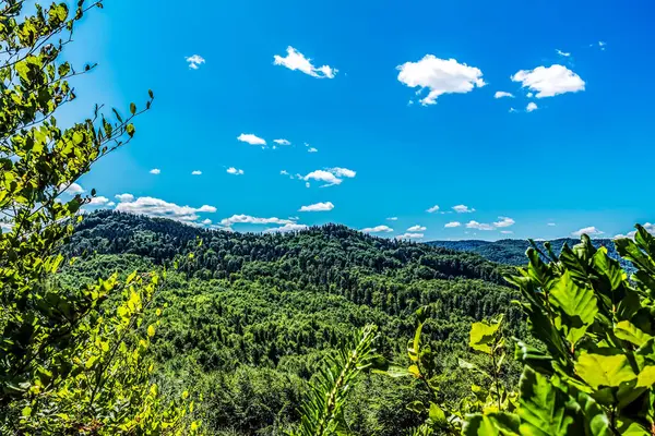 Karpat Dağlarının güzel manzarası