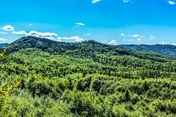 Yaz mevsiminde ormanın üstünden manzara, dağlar ve mavi gökyüzü, güzel doğa arka planı..