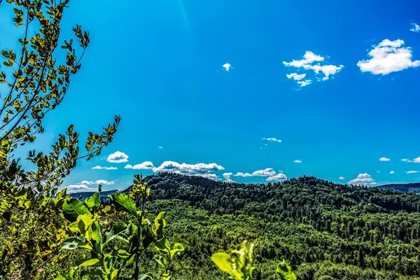 Doğanın güzel manzarası