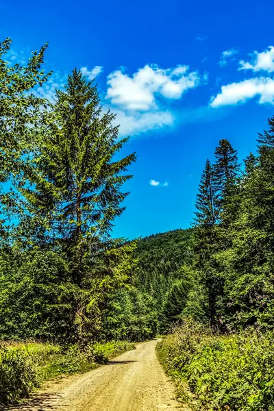 Dağları ve ormanı olan güzel bir manzara.