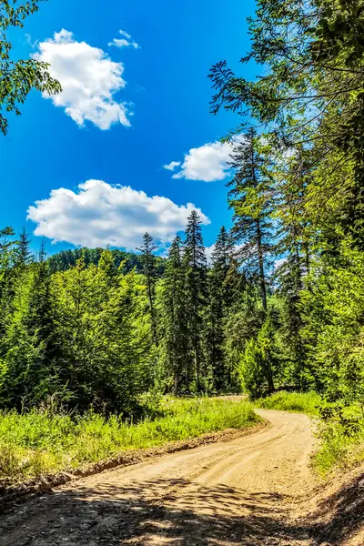 Ormanda yolu olan güzel bir dağ manzarası.