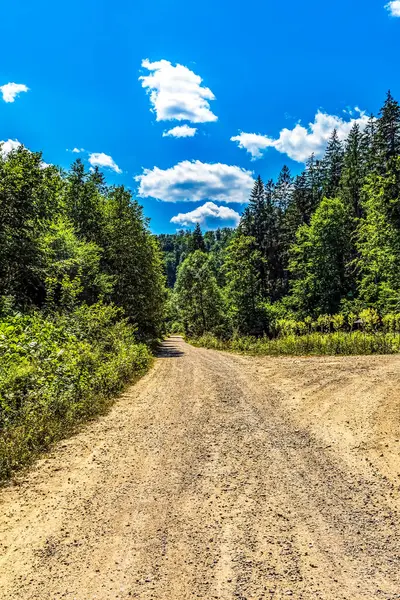 Dağlardaki Toprak Yol