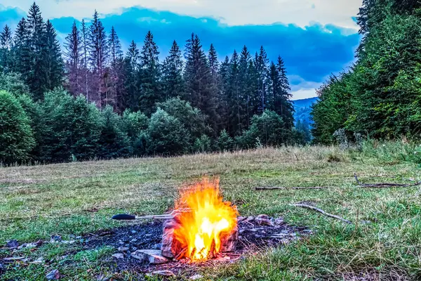 Akşam ormanında kamp ateşinde yangın.