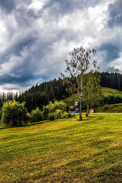 Güzel bulutlu gökyüzü ile yeşil çimenler.