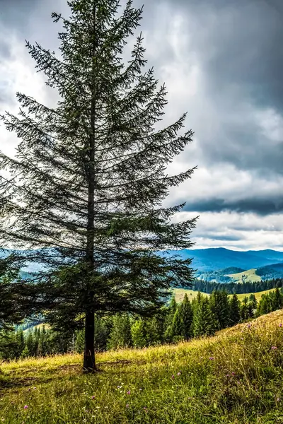 Karpat Dağlarının güzel manzarası
