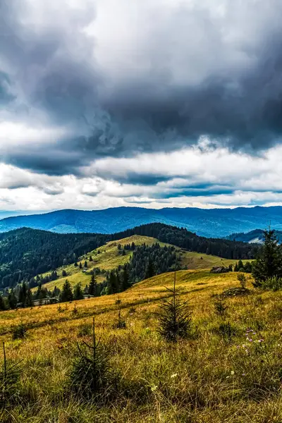 Karpatlar 'daki dağlar. Orman yağmur altında bir sıradağdır..