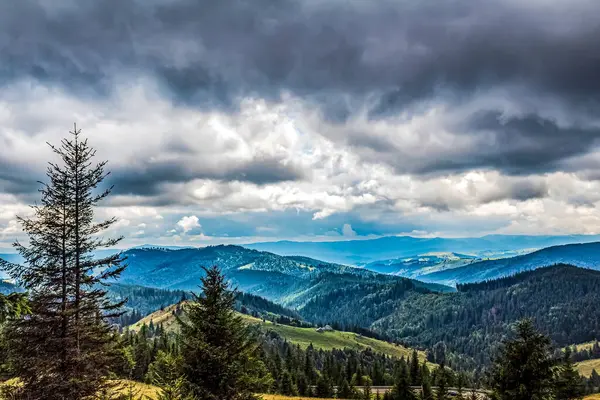 Slovakya 'da bulutlu bir gökyüzünün altındaki dağlarda güzel bir orman görüntüsü.