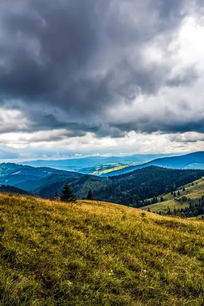 Romanya 'nın Karpatlar bölgesindeki dağların güzel bir görüntüsü.