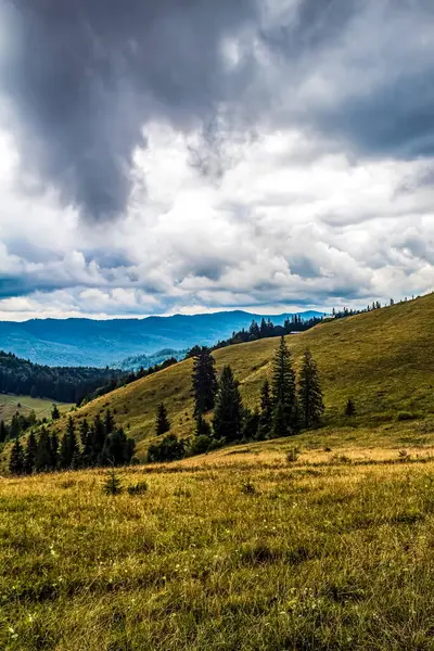 Dağlarda dağları olan güzel bir manzara.