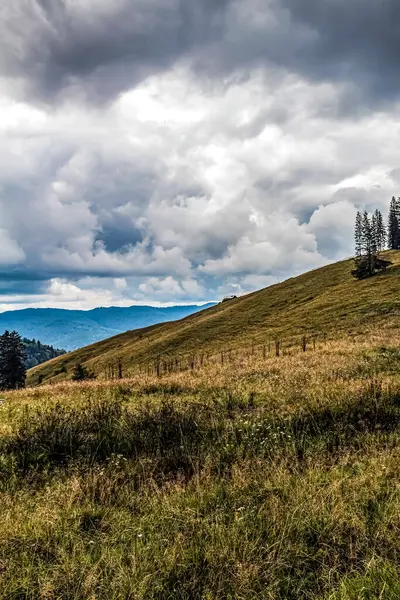 Doğanın güzel manzarası