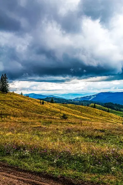 Yeşil ağaçların ve bulutlu gökyüzünün güzel bir görüntüsü.