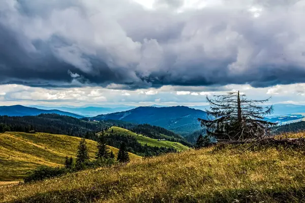 Karpat dağlarında güzel bir yaz manzarası