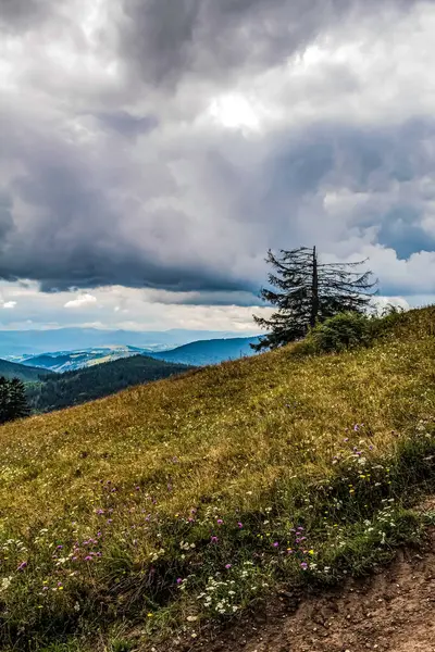 Dağların güzel manzarası