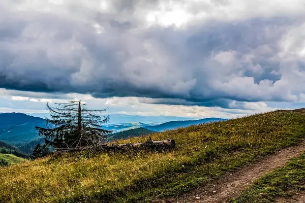 Karpat Dağları 'ndaki güzel dağ manzarası