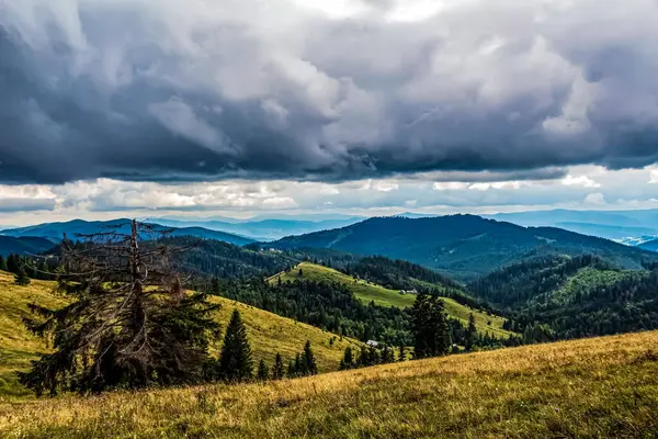 Dağlarda yaz manzarası