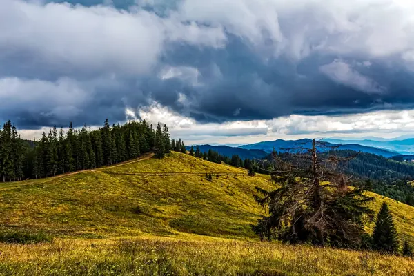 Sonbahar mevsiminde Karpatların güzel manzarası.