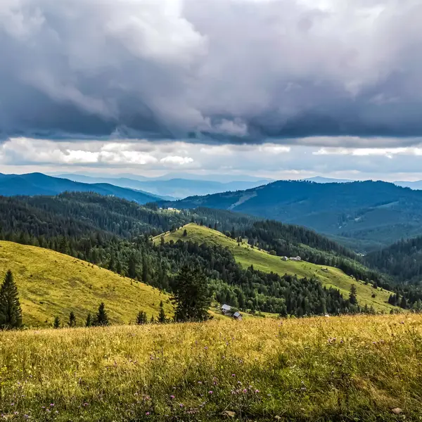Yazın Karpat Dağları.