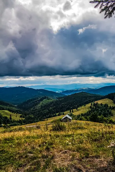 Ormanın ortasında güzel bir dağ görüntüsü.
