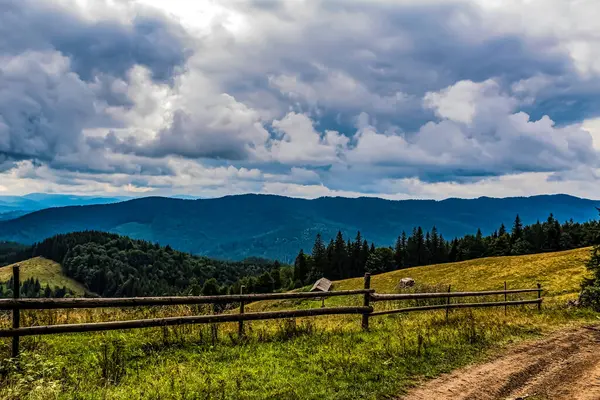 the beautiful landscape of the carpathian mountains