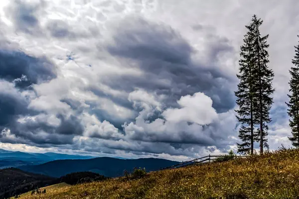 Yazın Karpat Dağları