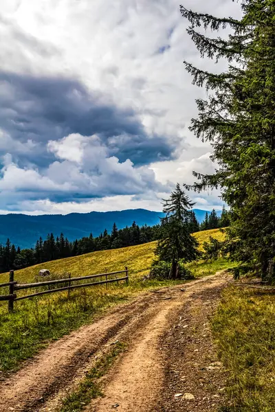 Manzaralar, Doğa, Avrupa, Doğu Avrupa, Romanya