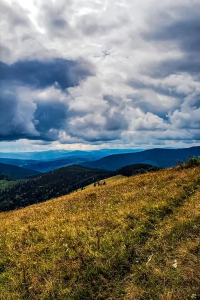Dağlardaki güzel yaz manzarası.